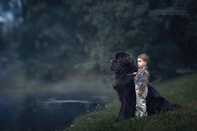 Büyük Köpekler ve Küçük Çocuklar